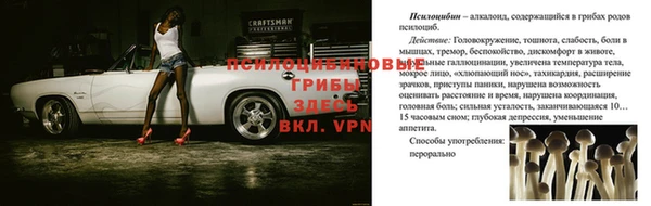 синтетический гашиш Нефтекумск
