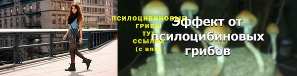 прущие крисы Богородицк