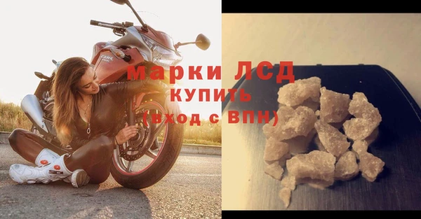 ГАЛЛЮЦИНОГЕННЫЕ ГРИБЫ Новозыбков